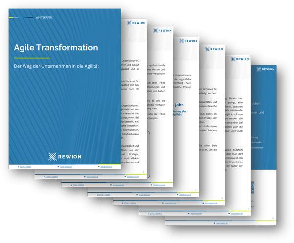 Whitepaper Agile Transformation